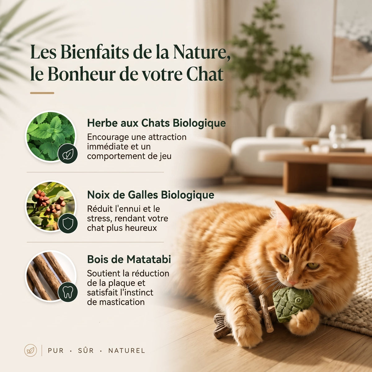 Jouet à mâcher dentaire pour chat en forme d'arête de poisson 🌼💖
